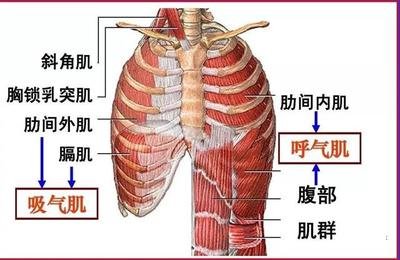 &#20061;&#24030;&#25163;&#26426;&#29256;&#30331;&#24405;&#20837;&#21475;&#45;&#20061;&#24030;&#65288;&#20013;&#22269;&#65289;&#23448;&#26041;&#32593;&#31449;