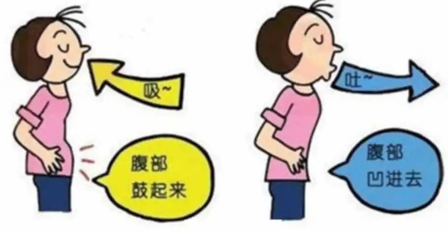 &#20061;&#24030;&#25163;&#26426;&#29256;&#30331;&#24405;&#20837;&#21475;&#45;&#20061;&#24030;&#65288;&#20013;&#22269;&#65289;&#23448;&#26041;&#32593;&#31449;